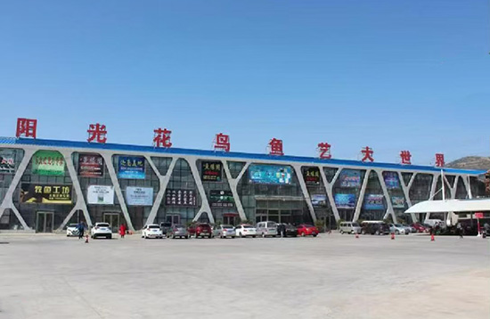 锦州蓝装家博会